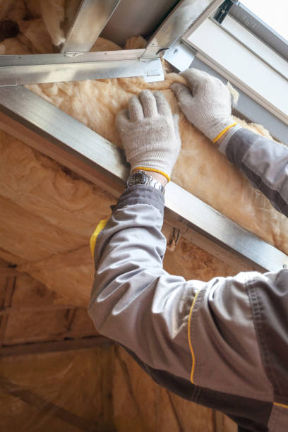Best Insulation Replacement Services  in Mcloud, OK
