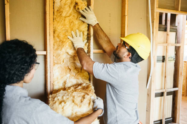 Best Insulation for New Construction  in Mcloud, OK